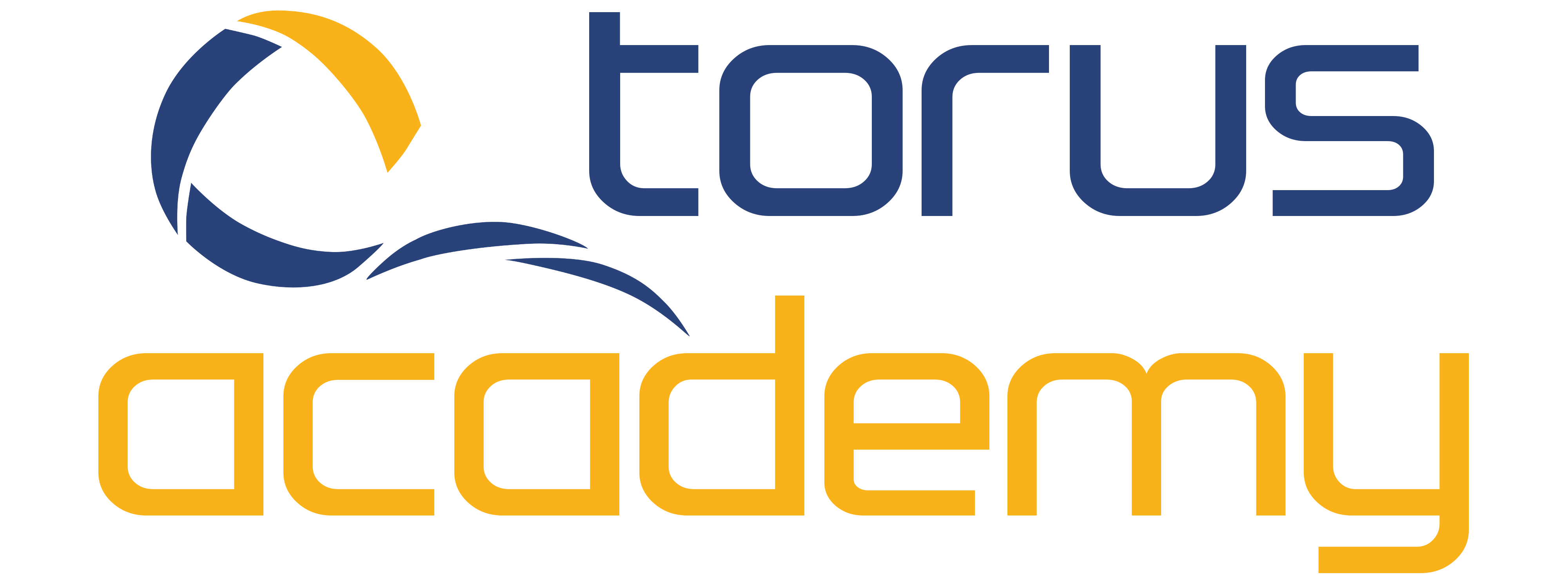 torus-academy-courses